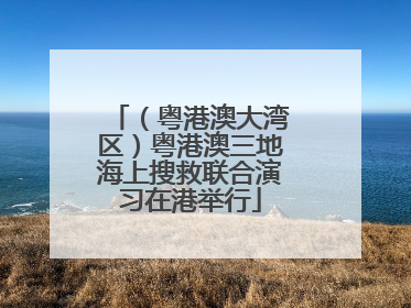 （粤港澳大湾区）粤港澳三地海上搜救联合演习在港举行