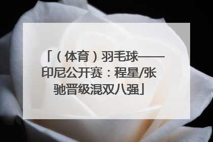 （体育）羽毛球——印尼公开赛：程星/张驰晋级混双八强