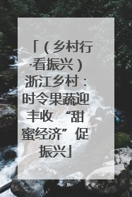 （乡村行·看振兴）浙江乡村：时令果蔬迎丰收 “甜蜜经济”促振兴