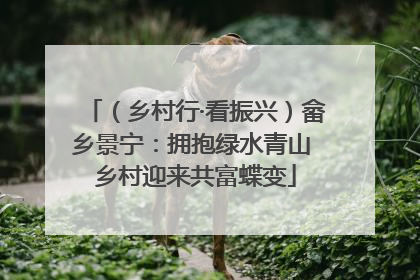 （乡村行·看振兴）畲乡景宁：拥抱绿水青山 乡村迎来共富蝶变