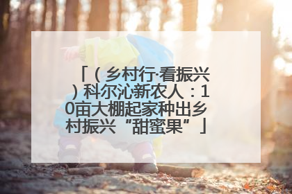 （乡村行·看振兴）科尔沁新农人：10亩大棚起家种出乡村振兴“甜蜜果”
