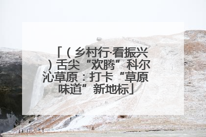 （乡村行·看振兴）舌尖“欢腾”科尔沁草原：打卡“草原味道”新地标