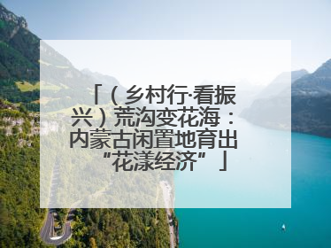（乡村行·看振兴）荒沟变花海：内蒙古闲置地育出“花漾经济”