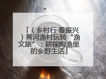 （乡村行·看振兴）黄河渔村玩转“渔文旅”：耕稼陶渔里的乡野生活