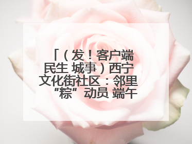 （发！客户端 民生 城事）西宁文化街社区：邻里“粽”动员 端午欢乐多