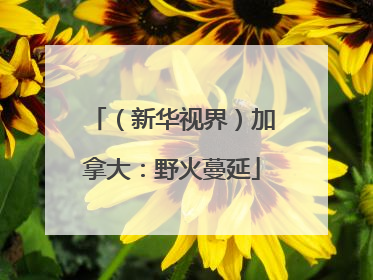 （新华视界）加拿大：野火蔓延