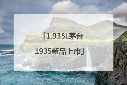 1.935L茅台1935新品上市