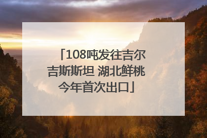 108吨发往吉尔吉斯斯坦 湖北鲜桃今年首次出口