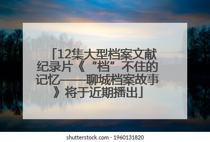 12集大型档案文献纪录片《“档”不住的记忆——聊城档案故事》将于近期播出