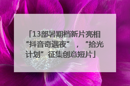 13部暑期档新片亮相“抖音奇遇夜”，“拾光计划”征集创意短片