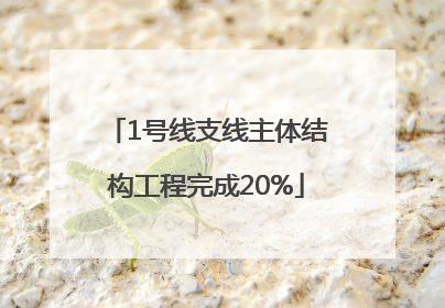 1号线支线主体结构工程完成20%