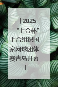 2025“上合杯”上合组织国家网球团体赛青岛开幕