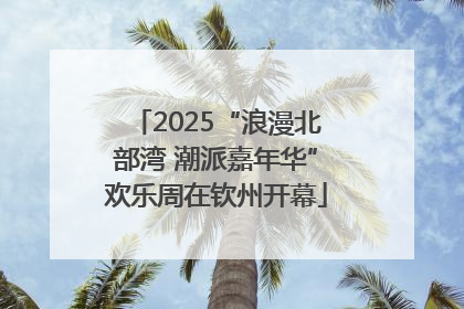 2025“浪漫北部湾 潮派嘉年华”欢乐周在钦州开幕