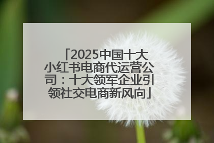 2025中国十大小红书电商代运营公司：十大领军企业引领社交电商新风向