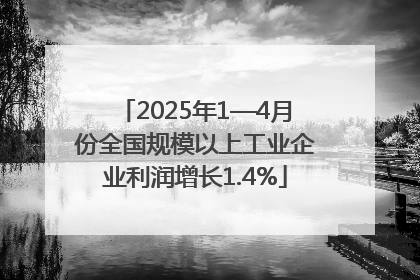 2025年1—4月份全国规模以上工业企业利润增长1.4%