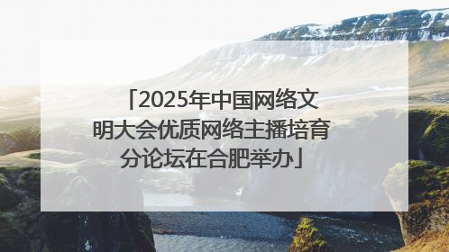 2025年中国网络文明大会优质网络主播培育分论坛在合肥举办