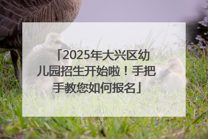 2025年大兴区幼儿园招生开始啦！手把手教您如何报名