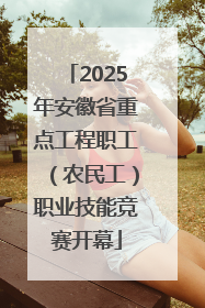 2025年安徽省重点工程职工（农民工）职业技能竞赛开幕