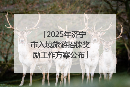 2025年济宁市入境旅游招徕奖励工作方案公布