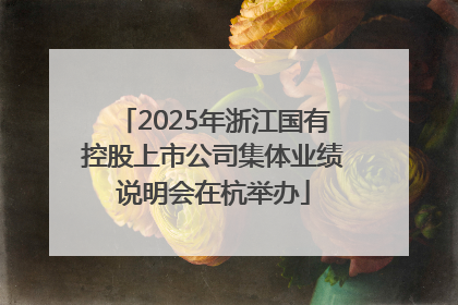 2025年浙江国有控股上市公司集体业绩说明会在杭举办