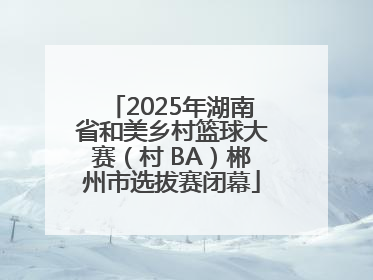 2025年湖南省和美乡村篮球大赛（村 BA）郴州市选拔赛闭幕