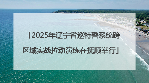 2025年辽宁省巡特警系统跨区域实战拉动演练在抚顺举行