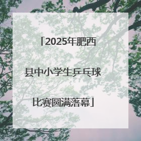 2025年肥西县中小学生乒乓球比赛圆满落幕