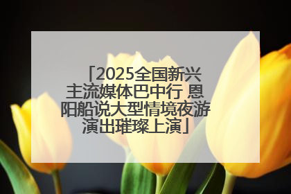 2025全国新兴主流媒体巴中行 恩阳船说大型情境夜游演出璀璨上演