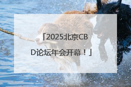 2025北京CBD论坛年会开幕！