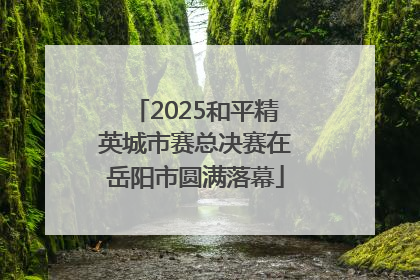 2025和平精英城市赛总决赛在岳阳市圆满落幕