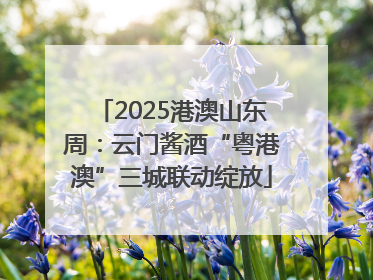 2025港澳山东周：云门酱酒“粤港澳”三城联动绽放