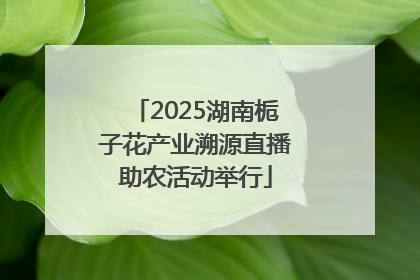 2025湖南栀子花产业溯源直播助农活动举行