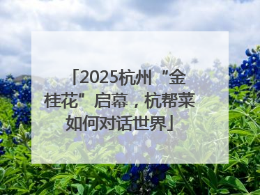 2025杭州“金桂花”启幕，杭帮菜如何对话世界