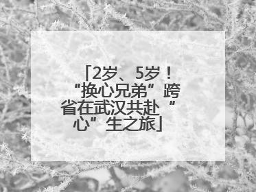 2岁、5岁！“换心兄弟”跨省在武汉共赴“心”生之旅