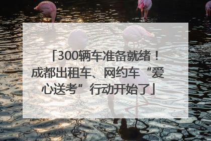 300辆车准备就绪！成都出租车、网约车“爱心送考”行动开始了
