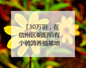 30万羽，在信州区朝阳镇有个鹌鹑养殖基地（图）