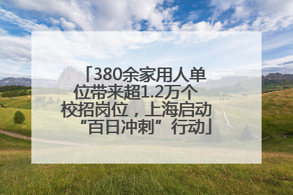 380余家用人单位带来超1.2万个校招岗位，上海启动“百日冲刺”行动