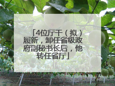 4位厅干（拟）履新，卸任省级政府副秘书长后，他转任省厅