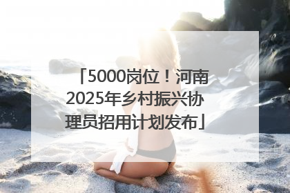 5000岗位！河南2025年乡村振兴协理员招用计划发布