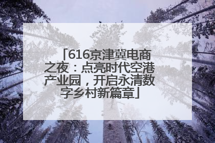 616京津冀电商之夜：点亮时代空港产业园，开启永清数字乡村新篇章