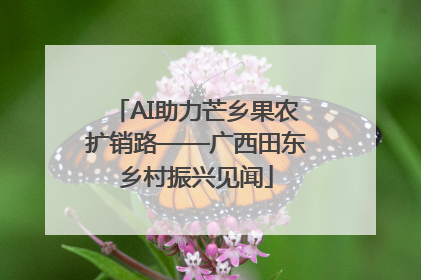 AI助力芒乡果农扩销路——广西田东乡村振兴见闻
