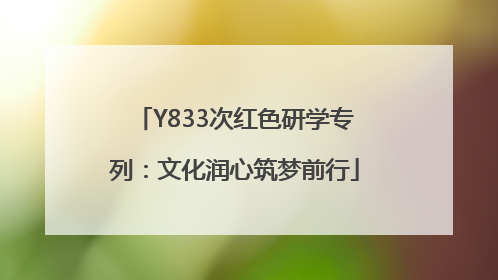 Y833次红色研学专列：文化润心筑梦前行